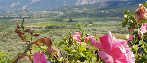 Terrain de lâhĂ©bergement