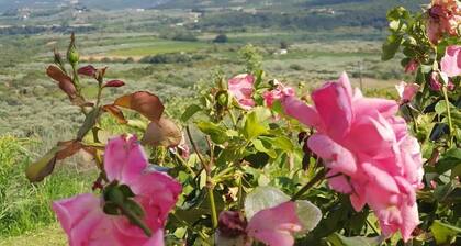 Farma Tsalta erleben Sie das Erlebnis auf dem Berg "OLYMPUS"