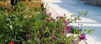 Rural apartment Les Cavallerisses for 4 people with jacuzzi