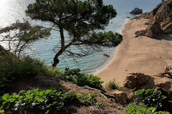 Ubicación a pie de playa