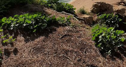 Kauniit valkoiset kivet Sant Pol de Marissa
