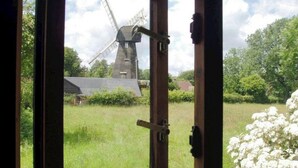 Blick durch ein offenes Fenster auf eine Windmühle, ein grasbewachsenes Feld und einen weißen Blütenstrauch.