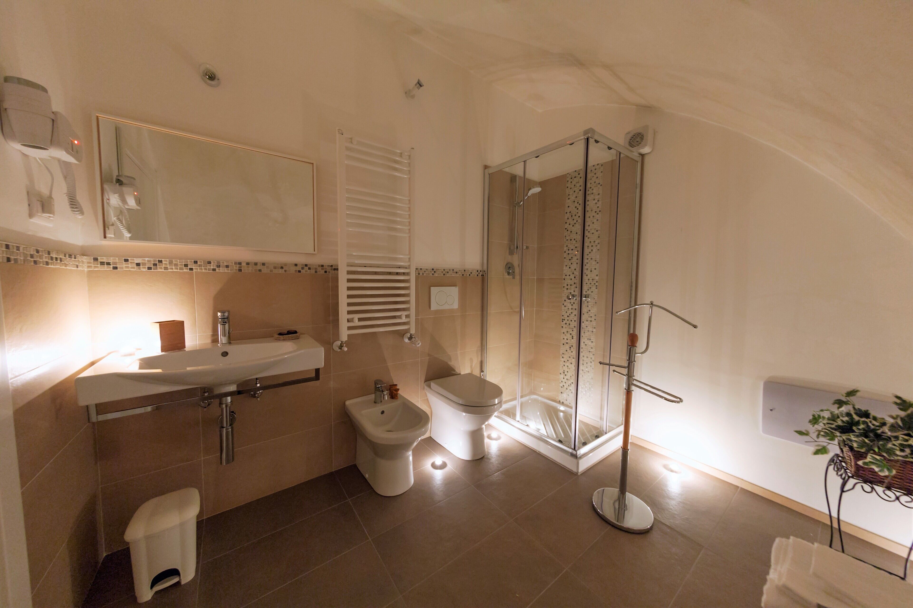 Shower, hair dryer, bidet, towels