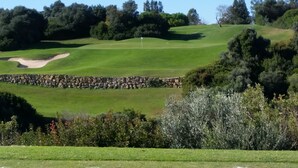 Ein Golfplatz mit Steinmauer, saftigem Rasen und Bäumen.
