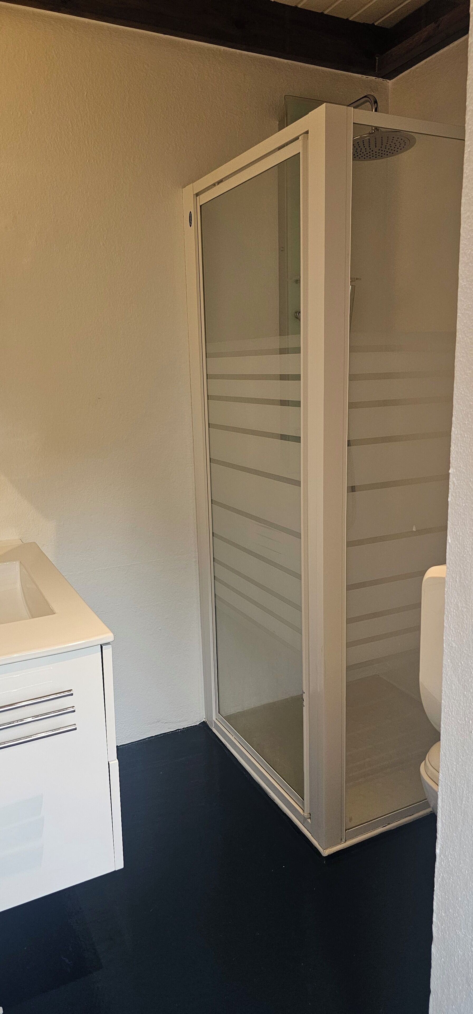 Un baño con ducha de vidrio, lavamanos blanco y retrete.