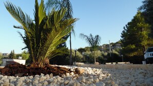 A palm tree in a rocky garden with a clear blue sky. - Villa Artemide with WI-FI 15 Km from Syracuse (siracusa)