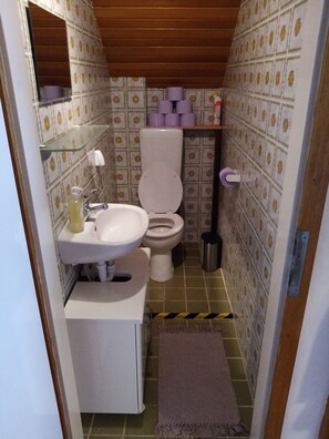 Douche, séchoir à cheveux, serviettes fournies, savon