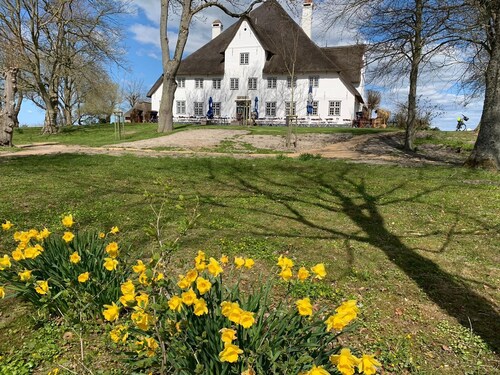 Attraktive, lichtdurchflutete Fewo bei Husum / Nordsee