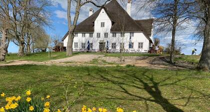 Attraktive, lichtdurchflutete Fewo bei Husum / Nordsee