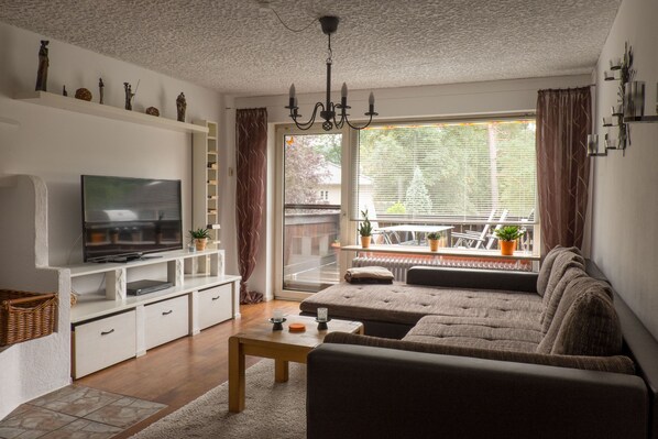 Smart TV, chimenea y reproductor de DVD