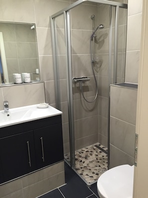 Shower, hair dryer, towels