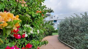 Een pad omzoomd door felgekleurde bougainvilleabomen en een keurig gesnoeide haag.