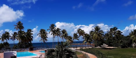 Alberca