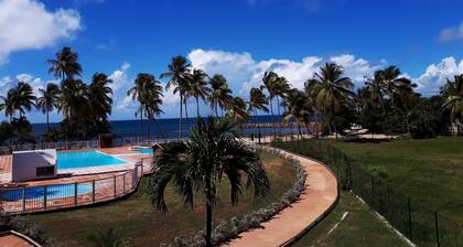 Poikkeuksellinen tarjous! Studio merinäköala