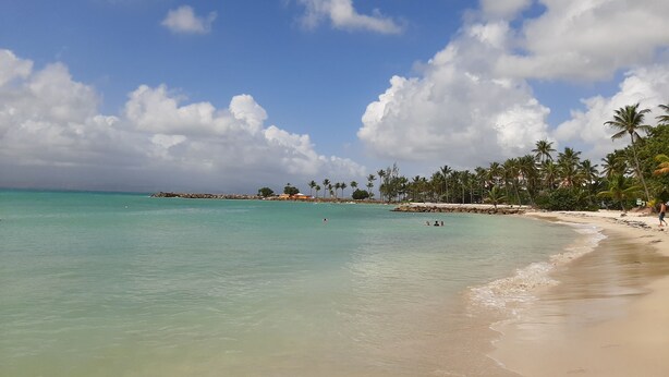 Een strand met helder turquoise water, een zandstrand en palmbomen.