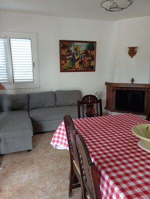Televisión, chimenea, reproductor de DVD y libros 