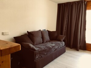 Flat-screen TV, DVD player, books, music library
