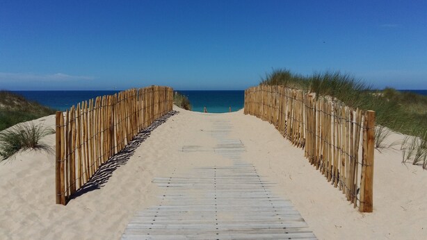 A wooden boardwalk leading to a beach with sand dunes and a clear blue sky.