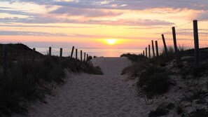Playa en los alrededores y camastros