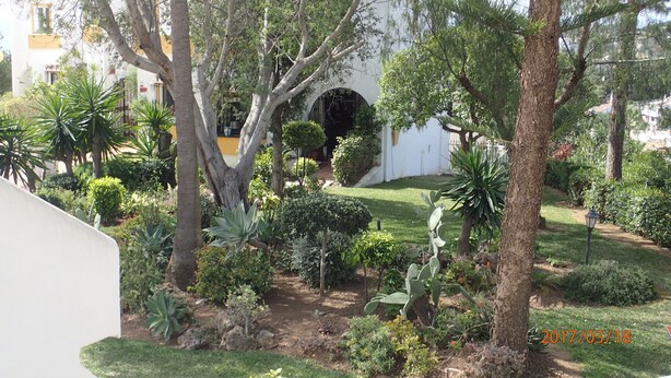 Un jardín con diversas plantas, árboles y un edificio blanco con un arco negro.