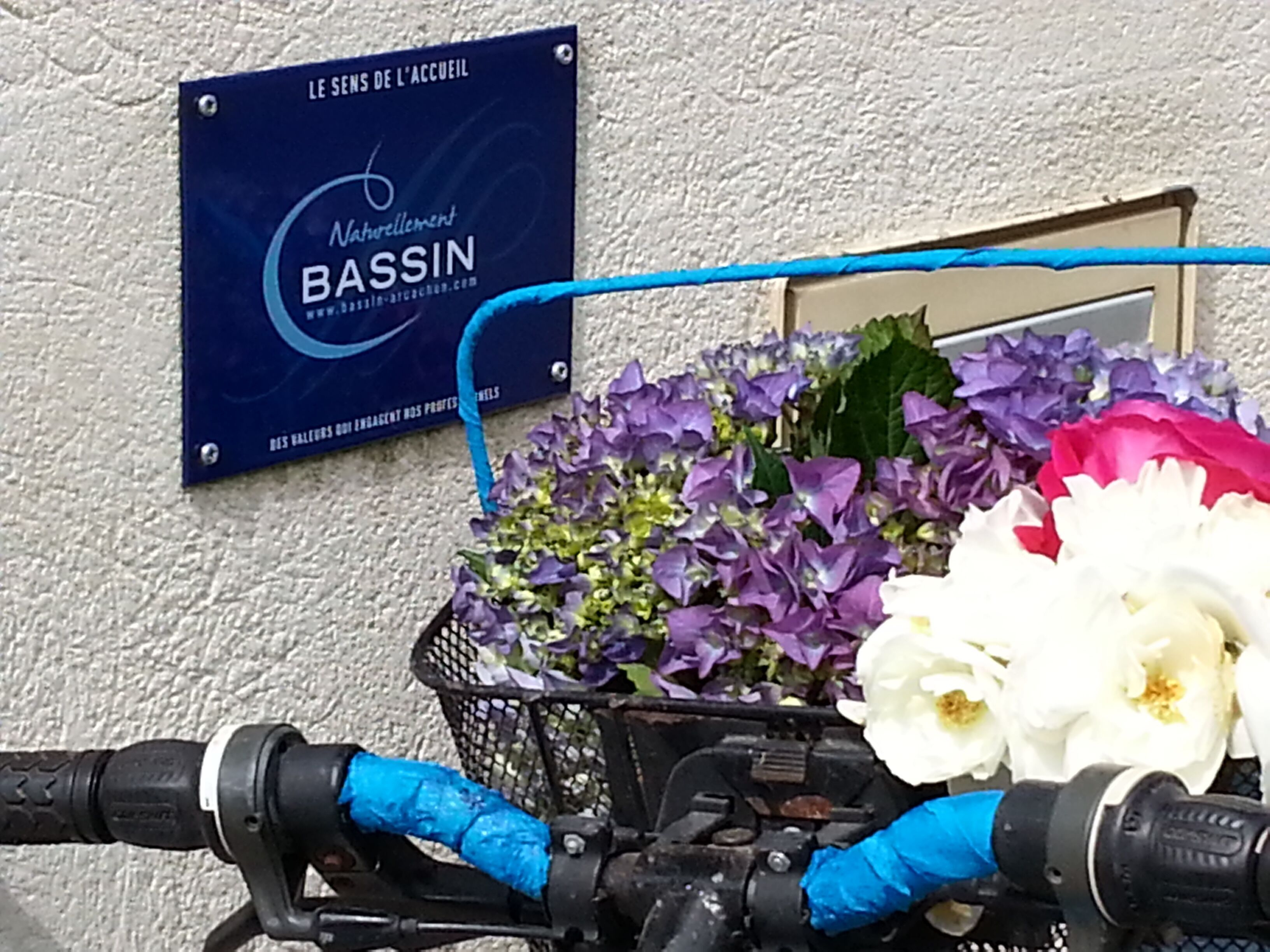 Een fiets met een mand vol bloemen en een bord aan de muur.