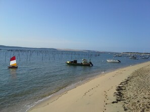 Beach nearby, sun loungers