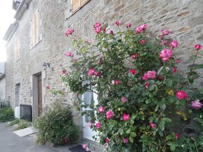 A stone building with a rose bush in front. - Large coastal cottage with sea view near St Malo, Mt St Michel (Hirel)