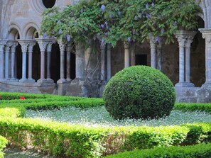 Property grounds - Charming cottage a few kilometers from Carcassonne and Lagrasse, private pool (Montlaur)
