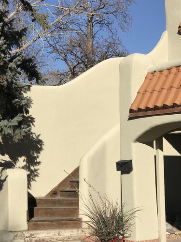 LAVENDER LISARD KASITIT 