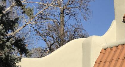 LAVENDER LISARD KASITIT