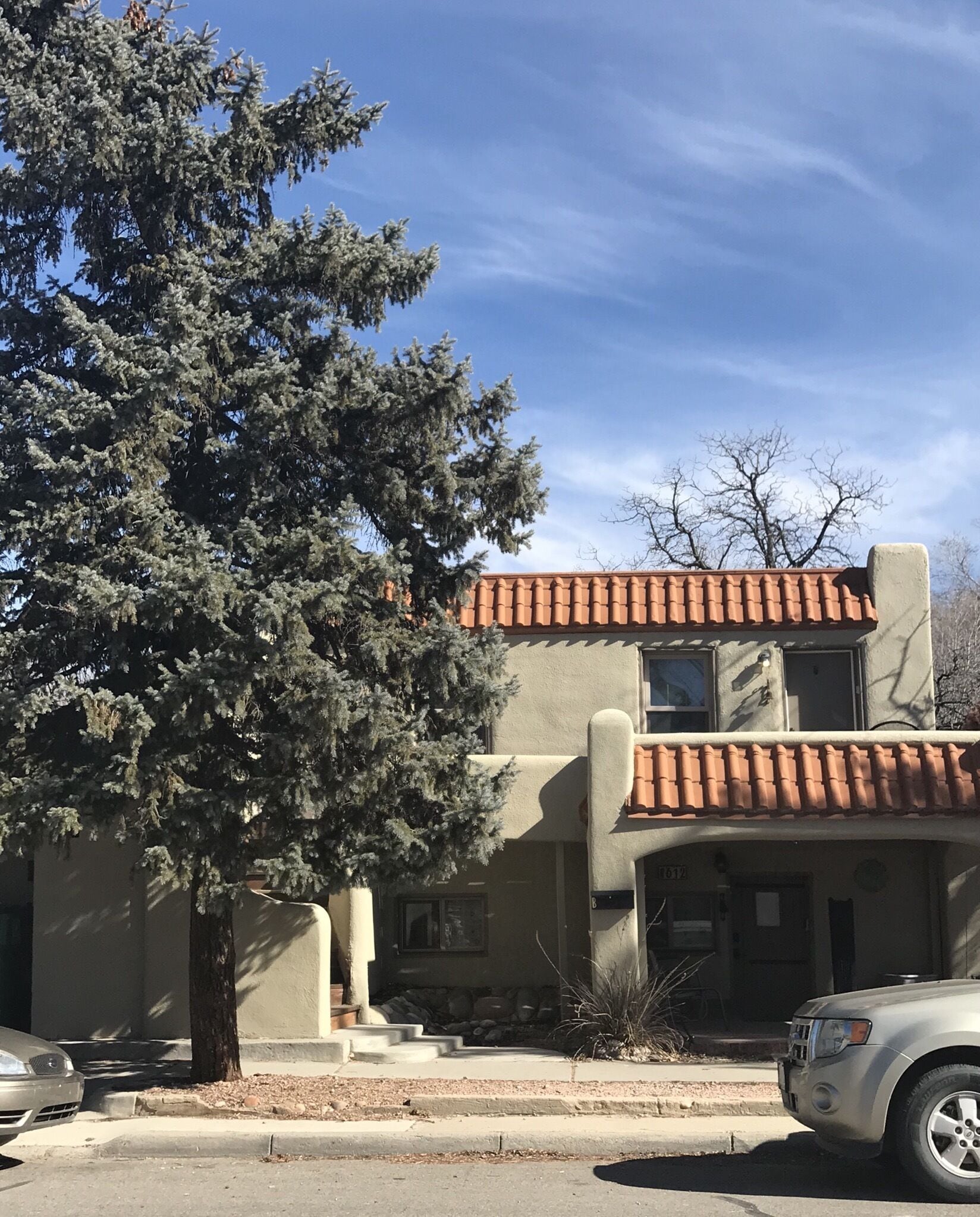 LAVENDER  LIZARD B Upper Unit CASITAS