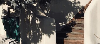 LAVENDER LISARD KASITIT 