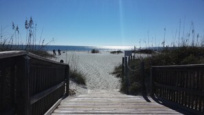 Plage, chaises longues