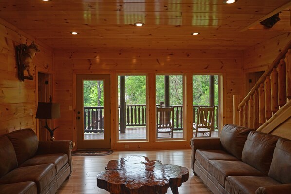 Televisión, chimenea, videojuegos y reproductor de DVD