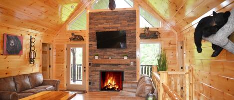 Fernseher, Kamin, Videospiele, DVD-Player