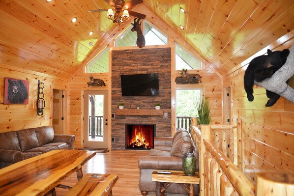 Téléviseur, foyer, jeux vidéo, lecteur de DVD