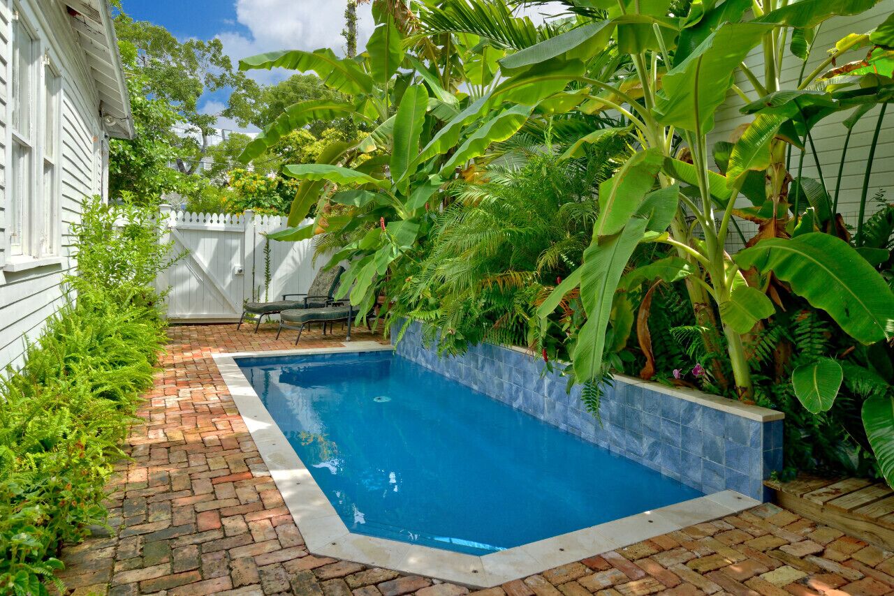 A rectangular swimming pool with a tiled edge, surrounded by a brick patio and lush greenery including banana trees and ferns.