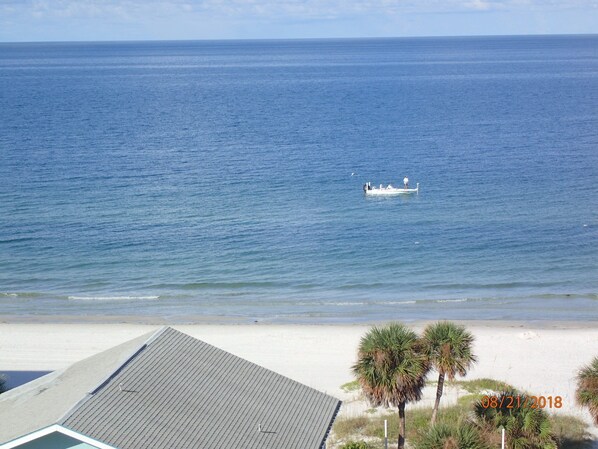 On the beach, sun-loungers, beach towels - Luxury Gulf Condo 3BR 3BA w/ Penthouse Jacuzzi! Gulf & Intercoastal views! (Redington Shores)