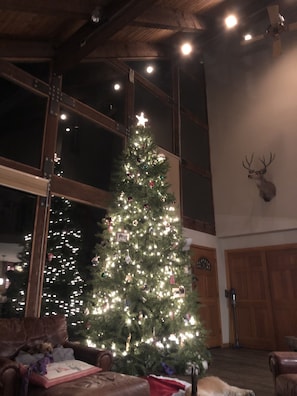 Interior - Vail Ski Chalet, Awesome! Private Home, Vail tax # 4113 (Vail)