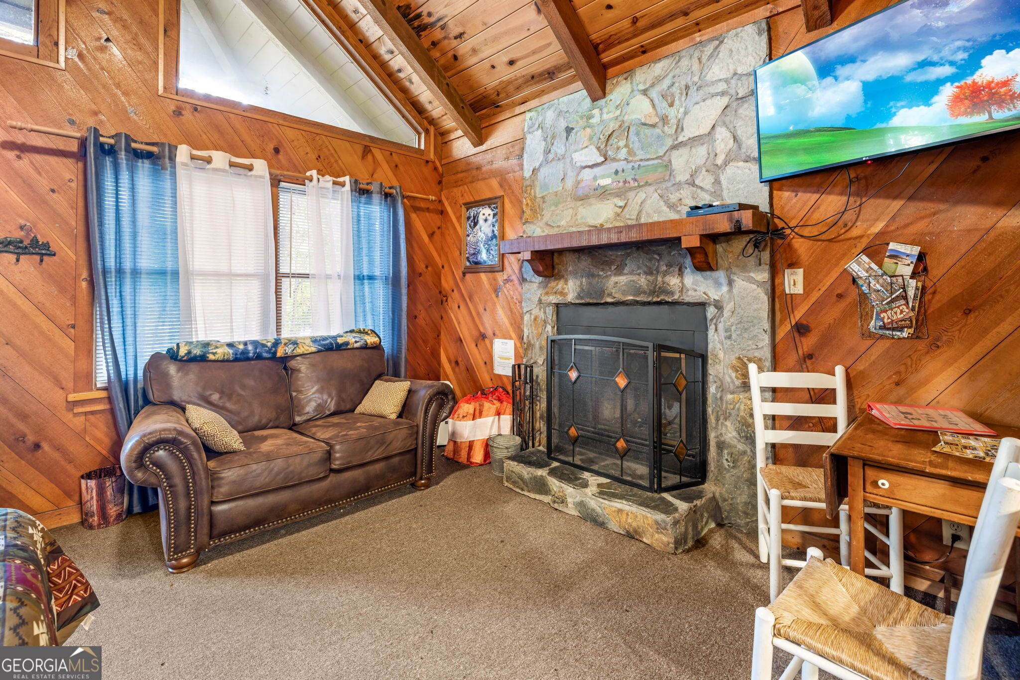 智能电视、壁炉、DVD 播放器