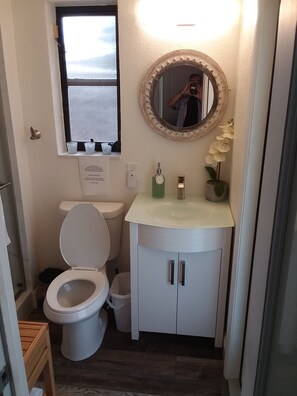 Shower, hair dryer, towels, shampoo