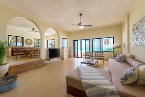 Smart TV, DVD player, books, video library