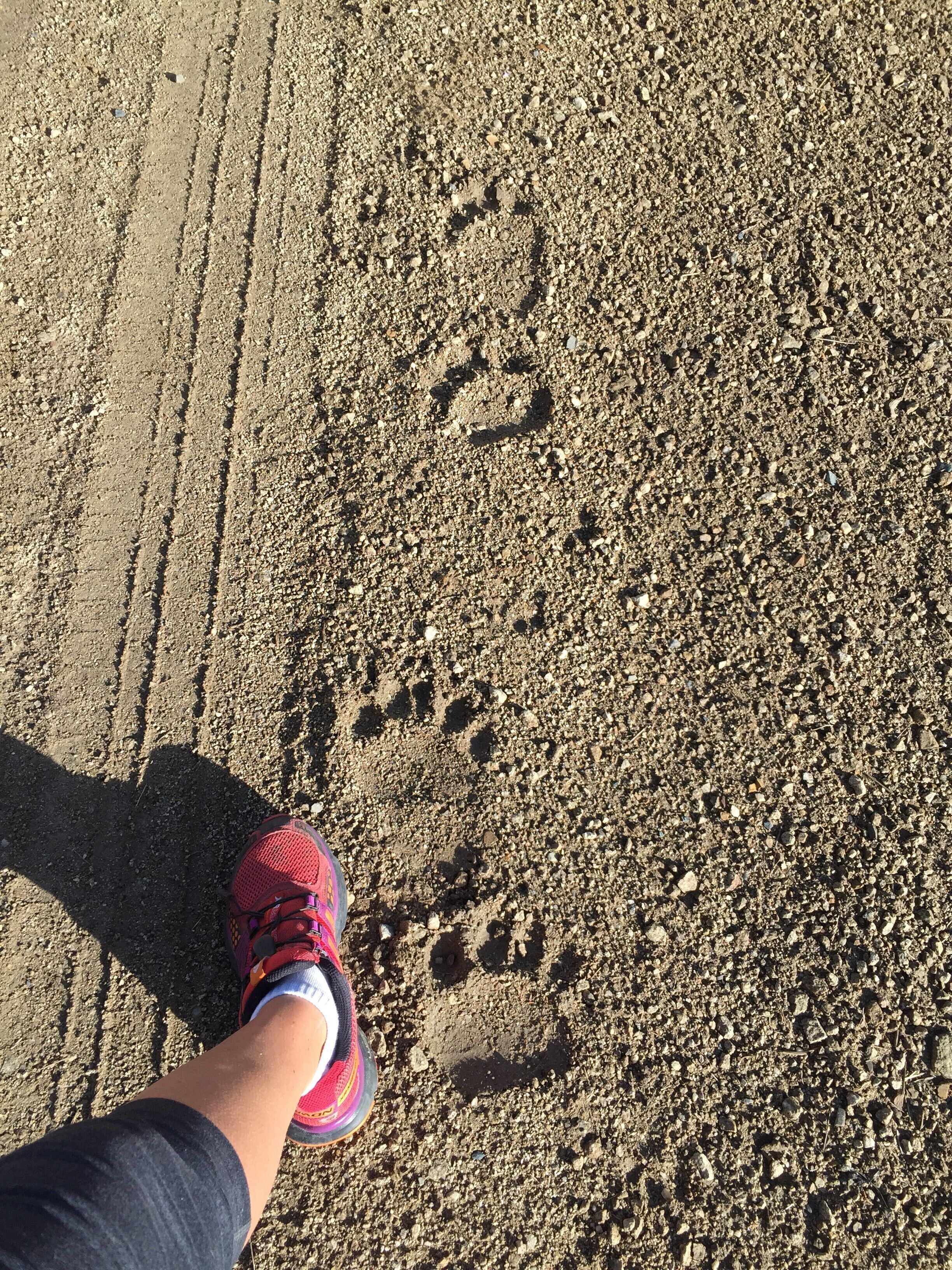 Un gros plan sur le pied d’une personne portant une chaussure rouge et noire, posé sur une surface sablonneuse où l’on peut voir des traces de pneus.