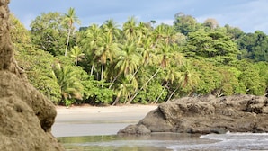 A beach with palm trees, a sandy shore, and rocky outcrops.