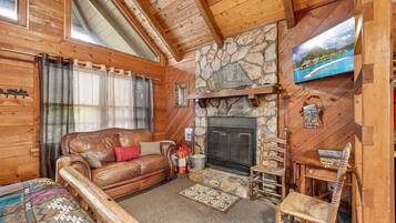 智能电视、壁炉、DVD 播放器