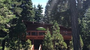 A lodge with a wooden exterior, surrounded by dense forest. - Snow! March /April availability! Driveway snow plow included! Dog ok! Fast WiFi! (Homewood)