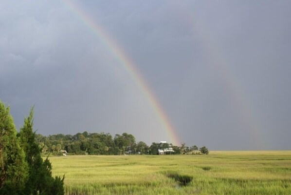 Ein Feld mit einem Regenbogen, Bäumen und einigen Gebäuden im Hintergrund.