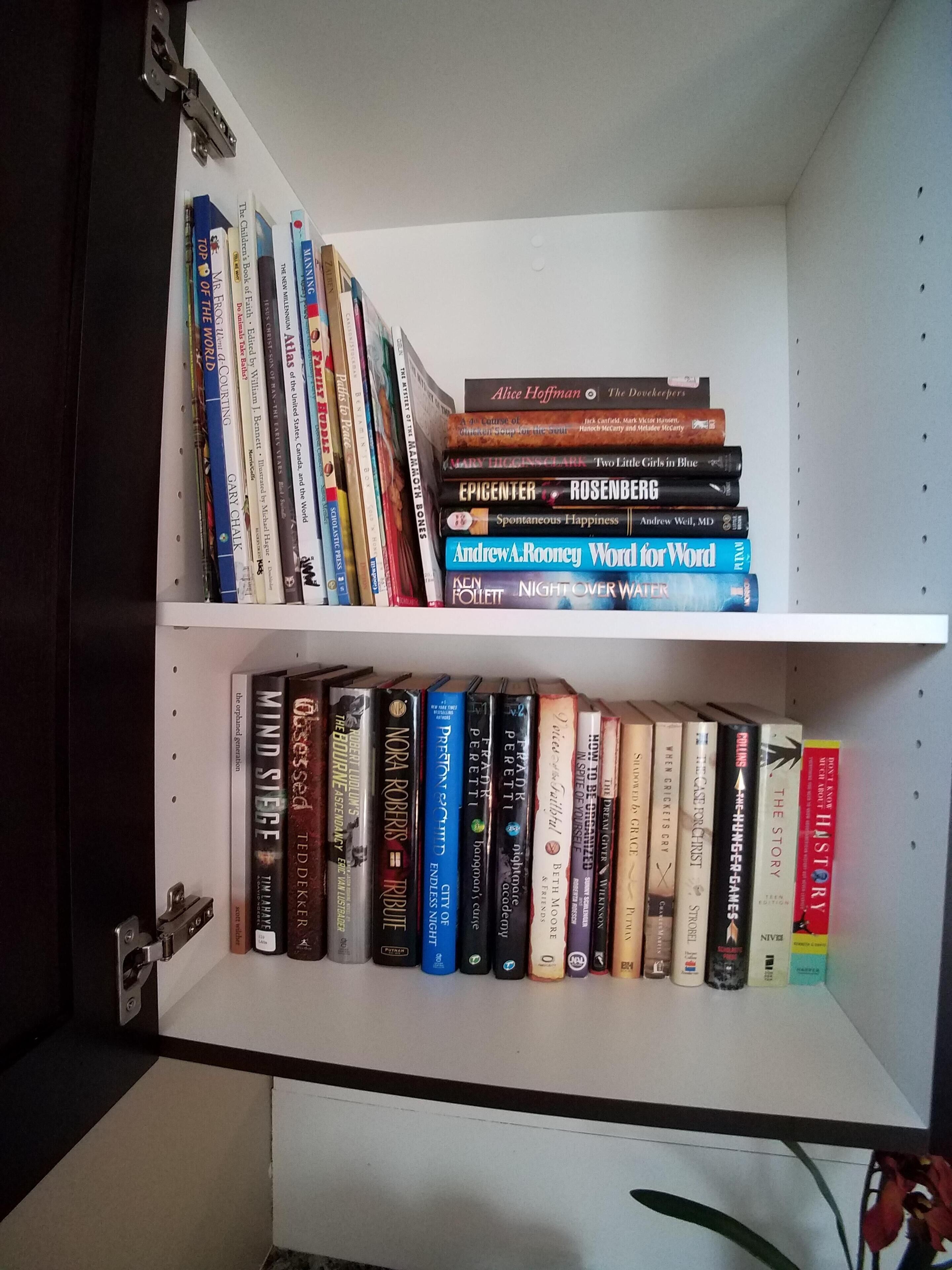 Une bibliothèque remplie de divers ouvrages, dont des titres comme « The Leechers » et « Word for Word ».