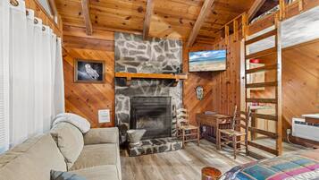 智能电视、壁炉、DVD 播放器