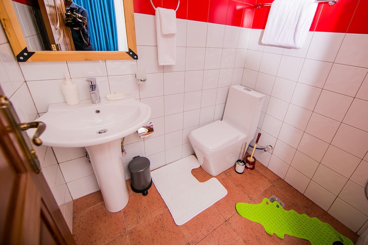 A bathroom with a sink, toilet, and a mirror.